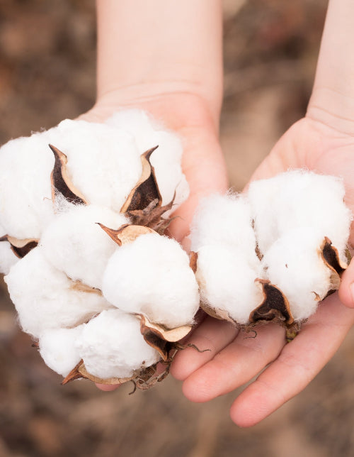 organic cotton canada star kids wear canadian